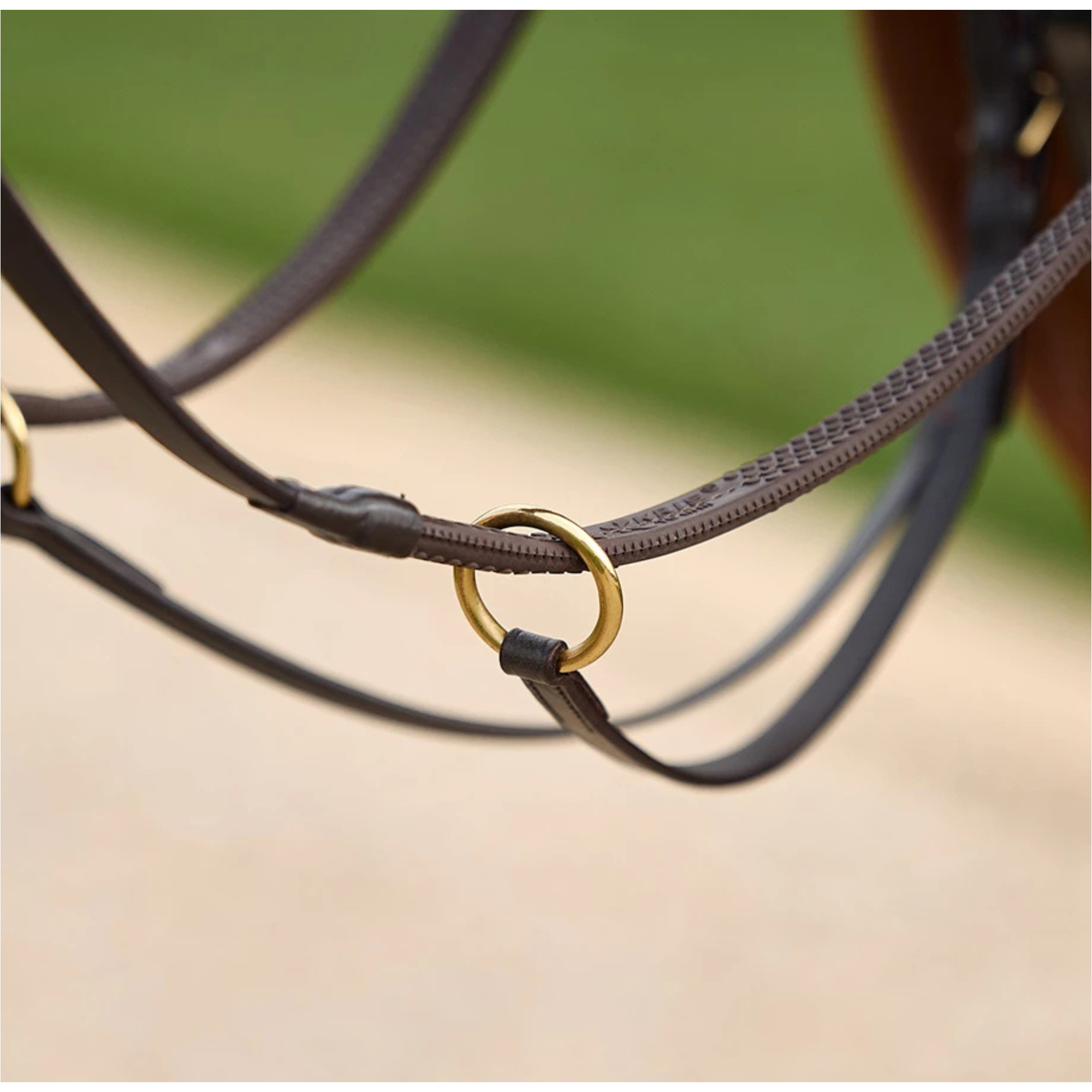 2026 Dublin 3-Point Breastplate 1031504 - Brown